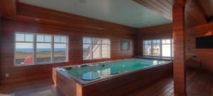 exotic wood pool - Simmons Custom Cabinetry & Millwork Inc.
